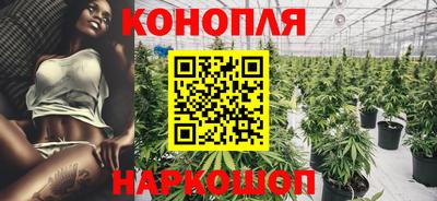 шишки Свободный