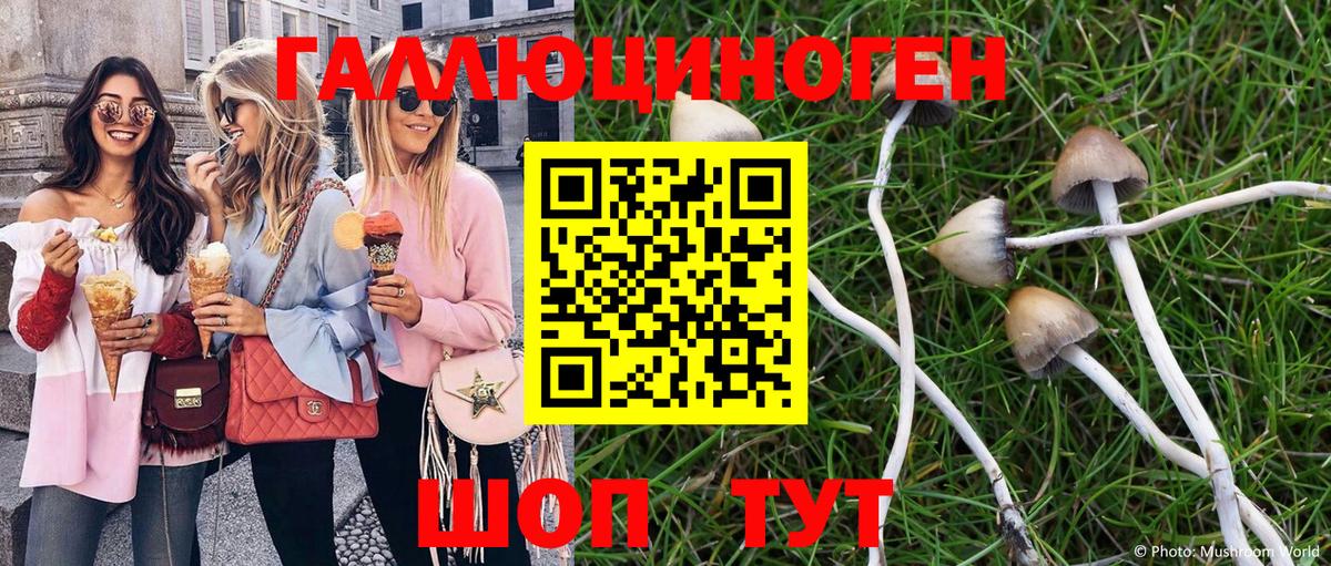 Галлюциногенные грибы прущие грибы  Вход с VPN  Белгород  Галлюциногенные грибы GOLDEN TEACHER 